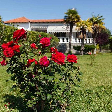 Seaside Villa Halkidiki Неа Ираклия Екстериор снимка